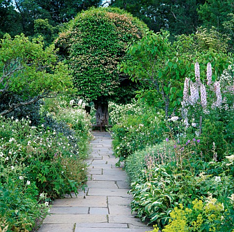STONE_PATH_BETWEEN_THE_WHITE_BORDERS_LEADING_TO_A_PORTUGAL_LAUREL__PRUNUS_LUSITANICA_CRATHES_CASTLE_