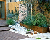 ROOF GARDEN WITH BAMBOO FENCING   WHITE BOULDERS  RED CEDAR DECKING AND WATER FEATURE: DESIGN BY ALISON WEAR ASSOCIATES
