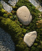 DETAIL OF MOSS  GRAVEL  STONE AND ROCK