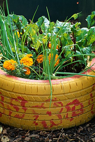 PAINTED_TYRE_CONTAINER_WITH_VEGETABLES