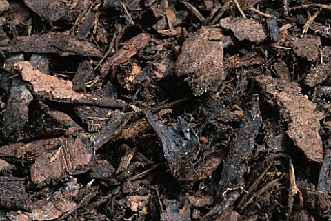 BARK_CHIPPINGS_NOT_TO_BE_USED_FOR_PACKAGING