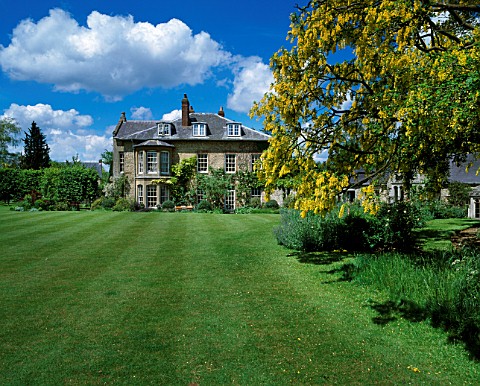 THE_HOUSE_AND_LAWN_WITH_LABURNUM_ON_THE_RIGHT_DESIGNER_ANGEL_COLLINS