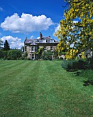 THE HOUSE AND LAWN WITH LABURNUM ON THE RIGHT. DESIGNER: ANGEL COLLINS
