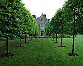 AVENUE OF PLEACHED HORNBEAMS WITH THE HOUSE BEHIND. DESIGNER: ANGEL COLLINS