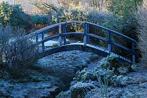 FROSTED_BLUE_WOODEN_BRIDGE_OVER_A_SMALL_STREAM__AT_THE_LANCE_HATTATT_DESIGN_GARDEN_AT_ARROW_COTTAGE_