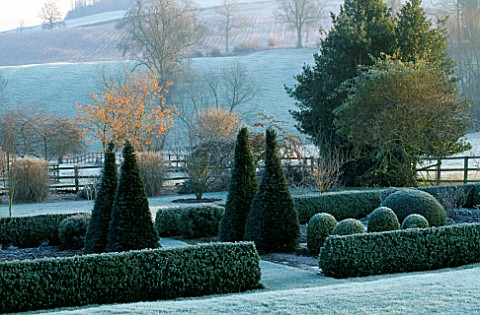 FROST_COVERS_THE_LOWER_PARTERRE_WITH_YEW_AND_BOX_SHAPES_AT_PETTIFERS_GARDEN__OXFORDSHIRE