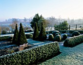 FROST COVERS THE LOWER PARTERRE WITH YEW AND BOX SHAPES AT PETTIFERS GARDEN  OXFORDSHIRE