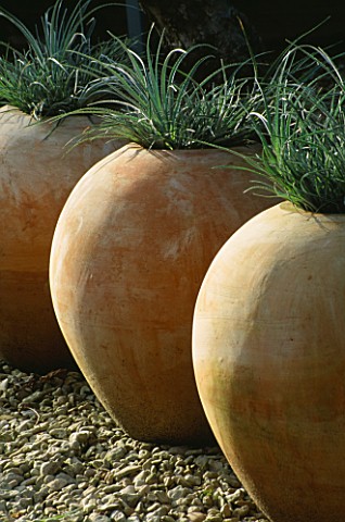 EGG_SHAPED_TERRACOTTA_POTS_PLANTED_WITH_FASCICULARIA_BICOLOR_DESIGNER_CLARE_MATTHEWS