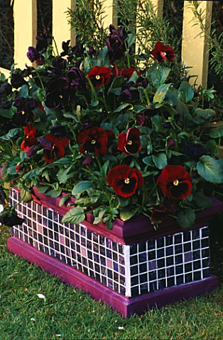 PURPLE_MOSAIC_CONTAINER_PLANTED_WITH_PANSIES_DESIGNER_CLARE_MATTHEWS
