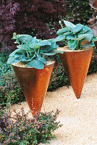 COPPER_CONICAL_CONTAINERS_WITH_HOSTA_SIEBOLDIANA_ELEGANS_IN_THE_DAILY_TELEGRAPHS_WRONG_GARDEN