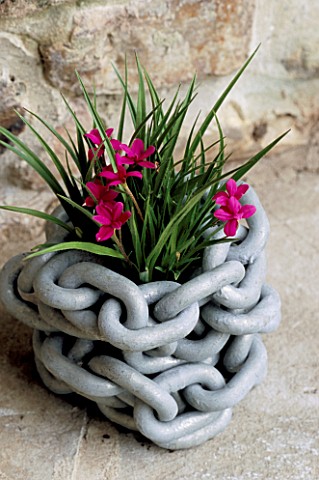 CHAIN_CONTAINER_BY_CLARE_MATTHEWS_PLANTED_WITH_RHODOHYPOXSIS_BAURII