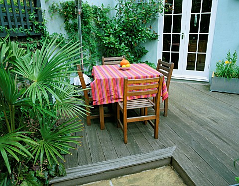 SMALL_TOWN_GARDEN_WITH_DECKING__PAVING__TABLE_AND_CHAIRS_AND_TRACHYCARPUS_FORTUNEI_DESIGNER_SARAH_LA