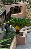 RAISED BED WITH CYCAS REVOLUTA  CONCRETE APERTURE WITH JELLY PALM (BUTIA CAPITATA) AND SCULPTURE IN SMALL COURTYARD. DESIGNER: AMIR SCHLEZINGER/MY LANDSCAPES