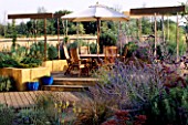 GRAVEL GARDEN WITH RENDERED CONCRETE WALLS  DECKING  PERGOLA  TABLE AND CHAIRS  CREAM PARASOL AND PLANTING OF VERBENA BONARIENSIS AND PEROVSKIA. DESIGNER: MARK LAURENCE