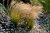 SEASIDE GARDEN: DETAIL OF GRAVEL PLANTING WITH STIPA TENUISSIMA AND PURPLE SAGE. DESIGNER: MARK LAURENCE