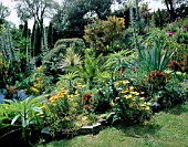 DESIGNER: JANE RUSSELL  MILLE FLEURS  GUERNSEY: MEDITTERANEAN BED BEHIND THE SWIMMING POOL PLANTED WITH FURCRAEA  ECHIUMS  AND CORDYLINES