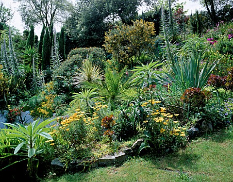 DESIGNER_JANE_RUSSELL__MILLE_FLEURS__GUERNSEY_MEDITTERANEAN_BED_BEHIND_THE_SWIMMING_POOL_PLANTED_WIT