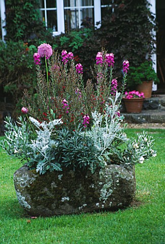 DESIGNER_JANE_RUSSELL__MILLE_FLEURS__GUERNSEY_LICHEN_COVERED_GUERNSEY_GRANITE_TROUGH_PLANTED_WITH_CO