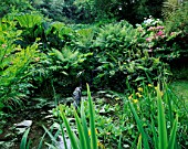 DESIGNER: JANE RUSSELL  MILLE FLEURS  GUERNSEY: POND IN THE WOODLAND WTH A HERON BY JASON LE PROVOST SURROUNDED BY DICKSONIA ANTARCTICA  GUNNERA  CYPERUS AND IRIS
