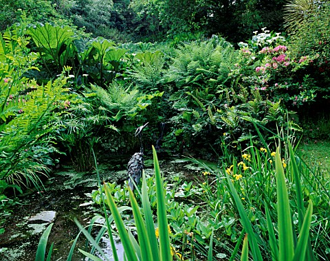DESIGNER_JANE_RUSSELL__MILLE_FLEURS__GUERNSEY_POND_IN_THE_WOODLAND_WTH_A_HERON_BY_JASON_LE_PROVOST_S