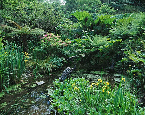 DESIGNER_JANE_RUSSELL__MILLE_FLEURS__GUERNSEY_POND_IN_THE_WOODLAND_WTH_A_HERON_BY_JASON_LE_PROVOST_S
