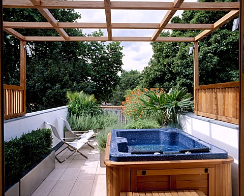 ROOF_TERRACE_WITH_WOODEN_PERGOLA__SUN_LOUNGERS_AND_JACUZZI_IN_BACKGROUND_IS_ASCLEPIAS_CURASSAVICA_AN
