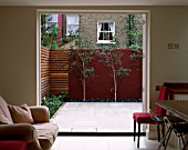 ROOF TERRACE DESIGNED BY WYNNIATT - HUSEY CLARKE: VIEW OUT OF KITCHEN TO LIMESTONE TERRACE WITH RED WALL AND BETUAL UTILIS JACQUEMONTII