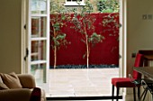 ROOF TERRACE DESIGNED BY WYNNIATT - HUSEY CLARKE: VIEW OUT OF KITCHEN TO LIMESTONE TERRACE WITH RED WALL AND BETULA UTILIS JACQUEMONTII