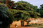 THE PRIORY  BEECH HILL  BERKSHIRE: OLD CEDAR TREE WITH WROUGHT IRON GATE INTO THE WALLED GARDEN