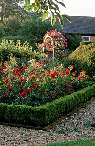 THE_PRIORY__BEECH_HILL__BERKSHIRE_EVENING_SUNLIGHT_ON_THE_ROSE_GARDEN__WITH_WOODEN_ARCH_PLANTED_WITH