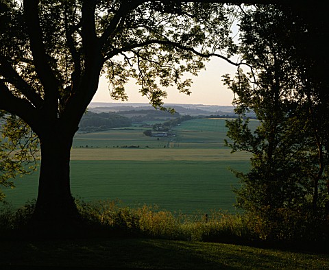 VIEW_FROM_THE_END_OF_THE_GARDEN_FRAMED_BY_AN_ASH_TREE_THE_FOVANT_HUT__WILTSHIRE