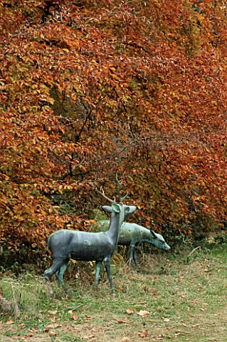 BATSFORD_ARBORETUM__GLOUCESTERSHIRE_A_BRONZE_STAG_AND_HIND_BESIDE_A_BEECH_TREE