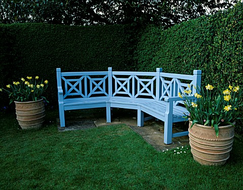 KELMARSH_HALL__NORTHAMPTONSHIRE_BLUE_SEAT_SURROUNDED_BY_TERRACOTTA_CONTAINERS_PLANTED_WITH_NARCISSI