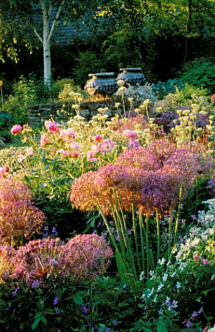 PETTIFERS__OXFORDSHIRE_THE_TOP_BORDER_WITH_LEAD_URNS__ALLIUM_ALBOPILOSUM__PEONY_BOWL_OF_BEAUTY__STAC