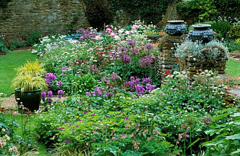 PETTIFERS__OXFORDSHIRE_BORDER_BY_THE_HOUSE_WITH_PEONY_BOWL_OF_BEAUTY__ALLIUM_ALBOPILOSUM__STACHYS_MA