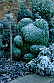 WEST GREEN HOUSE GARDEN  HAMPSHIRE: CLIPPED BOX TOPIARY TEDDY BEAR IN THE ALICE IN WONDERLAND GARDEN IN FROST IN WINTER
