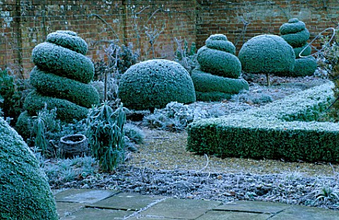 WEST_GREEN_HOUSE_GARDEN__HAMPSHIRE_CLIPPED_BOX_TOPIARY_SHAPES_IN_THE_ALICE_IN_WONDERLAND_GARDEN_IN_F