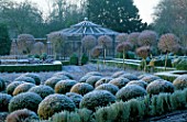 WEST GREEN HOUSE GARDEN  HAMPSHIRE: CLIPPED BALLS OF SANTOLINA IN THE POTAGER WITH AN OLD METAL FRUIT CAGE IN THE BACKGROUND IN WINTER IN FROST