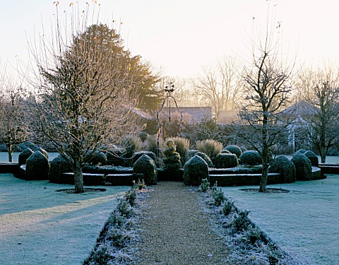 WEST_GREEN_HOUSE_GARDEN__HAMPSHIRE_FROSTED_CLIPPED_BOX_SURROUNDS_AN_OLD_WELL__HEAD_IN_THE_WALLED_GAR