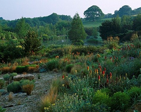 LADY_FARM__SOMERSET_THE_STEPPE_AREA_WITH_KNIPHOFIAS__ACHILLEA_MOONSHINE_AND_LAKE_WITH_METASEQUOIA_GL
