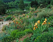 LADY FARM  SOMERSET: THE STEPPE AREA WITH KNIPHOFIAS  IRIS BUTTERSCOTCH KISS AND STIPA GIGANTEA WITH LAKE AND ISLAND PLANTED WITH METASEQUOIA GLYPTOSTROBOIDES