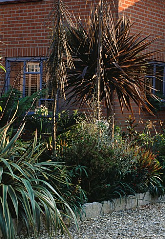PETER_REIDS_GARDEN__HAMPSHIRE_THE_FRONT_GARDEN_WITH_PLANTS_FROM_NEW_ZEALAND_FROM_LEFT_TO_RIGHT__PSEU
