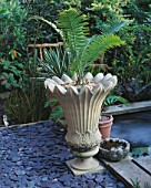 PETER REIDS GARDEN  HAMPSHIRE: BACK GARDEN - CLASSICAL URN WITH THE CYCAD DIOON SPINULOSUM (NOT HARDY)