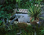 PETER REIDS GARDEN  HAMPSHIRE: BACK GARDEN - A MINI PEAT BOG  TOPPED WITH SPAGNUM MOSS  PLANTED WITH SARRACENIAS  SUNDEWS AND A VENUS FLY TRAP. POND AND YUCCA GLORIOSA VARIEGATA