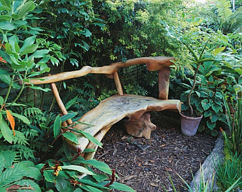 PETER_REIDS_GARDEN__HAMPSHIRE_BACK_GARDEN__A_PLACE_TO_SIT_WITH_JUNGLE_STYLE_WOODEN_BENCH_FROM_THE_PH