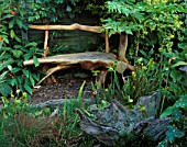 PETER REIDS GARDEN  HAMPSHIRE: BACK GARDEN - A PLACE TO SIT WITH JUNGLE STYLE WOODEN BENCH FROM THE PHILIPPINES. IN CONTAINER IS MELANOSELINUM DECIPIENS