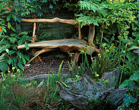 PETER_REIDS_GARDEN__HAMPSHIRE_BACK_GARDEN__A_PLACE_TO_SIT_WITH_JUNGLE_STYLE_WOODEN_BENCH_FROM_THE_PH