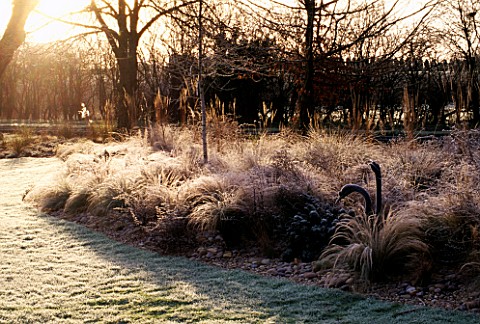 FROSTY_GRASS_BORDER_BESIDE_THE_CANAL__WITH_SWAN_SCULPTURES___STIPA_TENUISSIMA_AND_MISCANTHUS_SINENSI