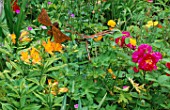 WOODCHIPPINGS  NORTHANTS: RUSTY METAL DRAGONFLY AMONGST ALSTROEMERIAS AND ROSA DUCHESS OF PORTLAND