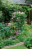 WOODCHIPPINGS  NORTHANTS: GALLICA ROSE BELLE SANS FLATTERIE WITH CLEMATIS CARNABY  BEHIND